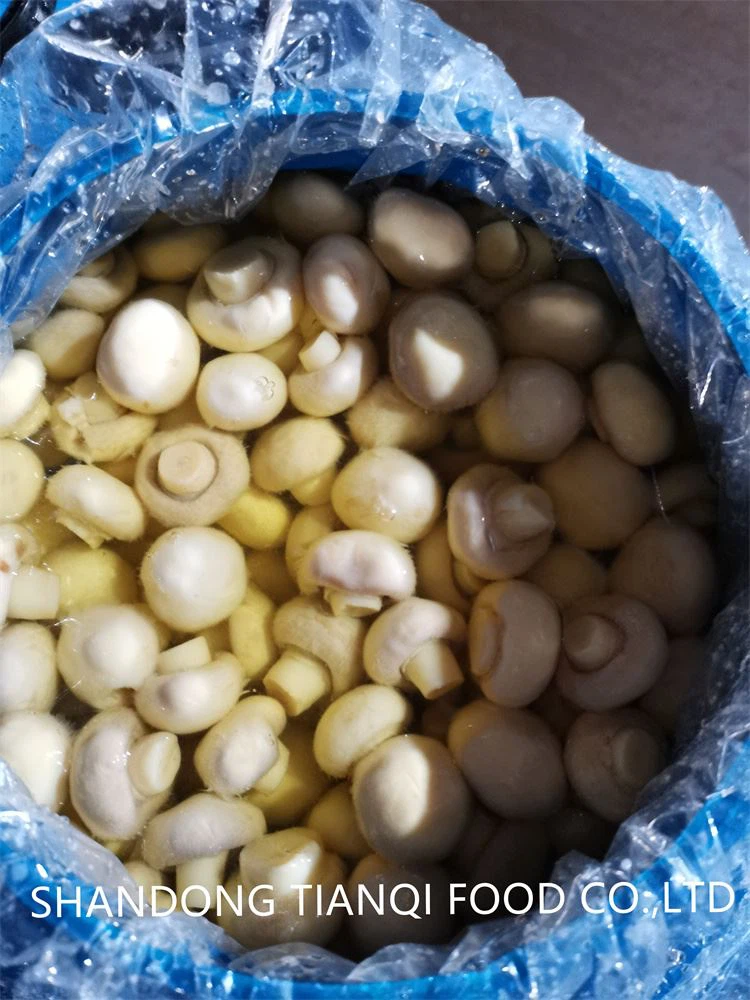 Preserved white mushroom in drums factory