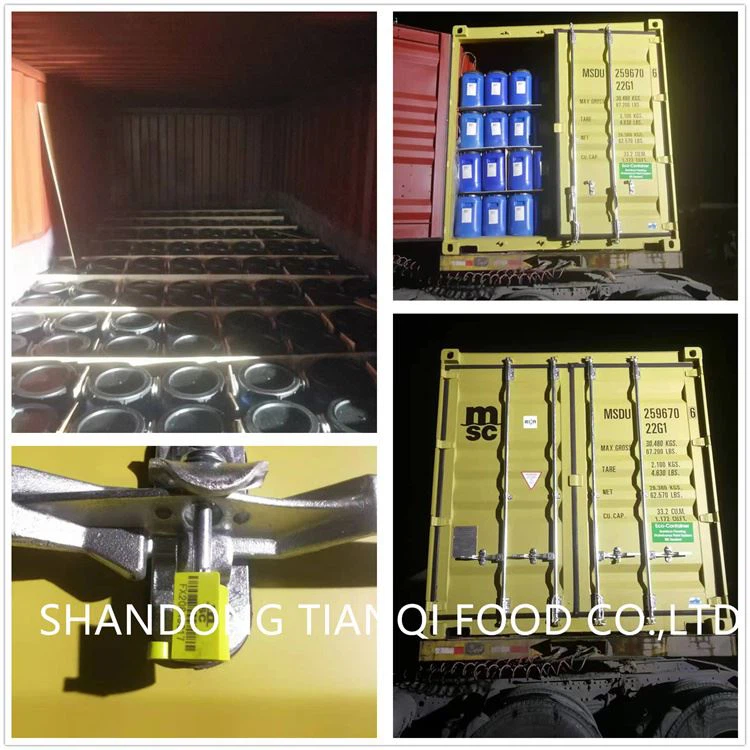 Pickled champignon in salted water in drums