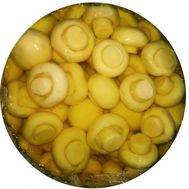 Big whole white mushroom in brine in drums 4-6cm