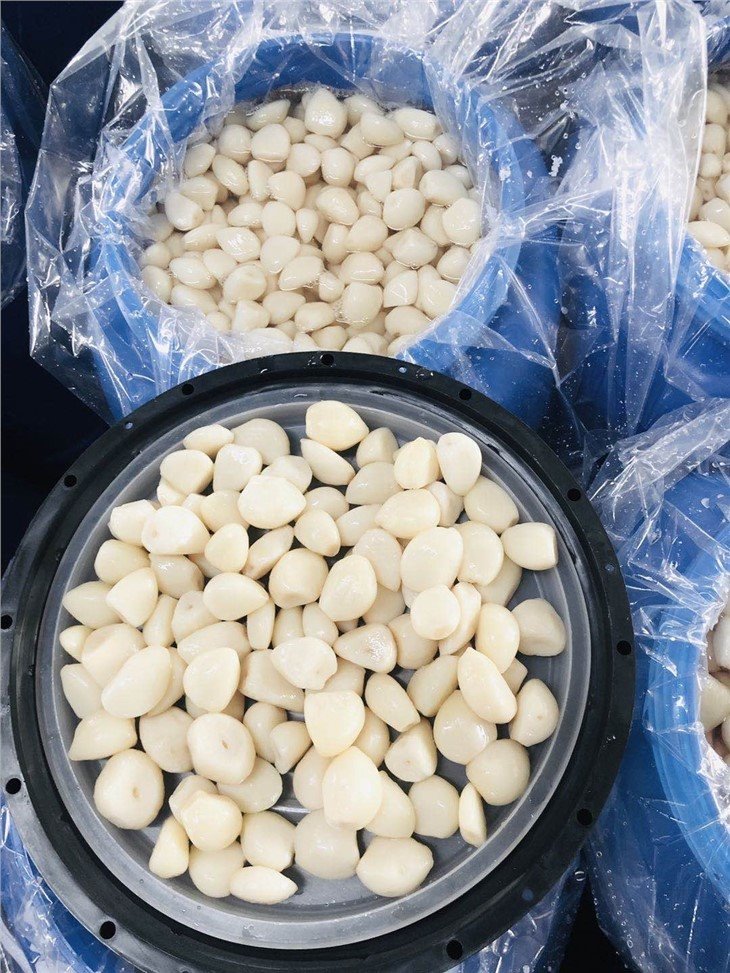 Salted peeled garlic cloves in drums