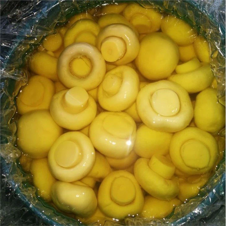 Cheap whole white mushroom in SO2 in drums