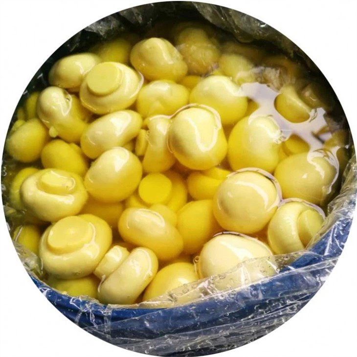 Preserved whole white mushroom in salted water in plastic drums