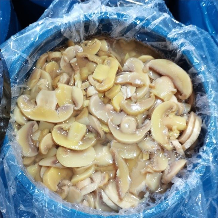 Wholesale white mushroom in drums PNS