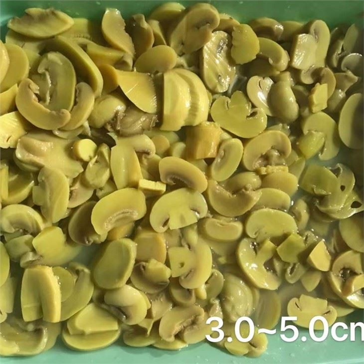 Preserved sliced button mushroom in plastic drums