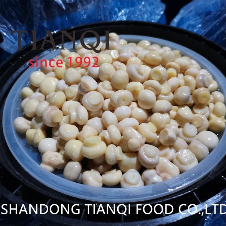 Preserved white mushroom whole in salt
