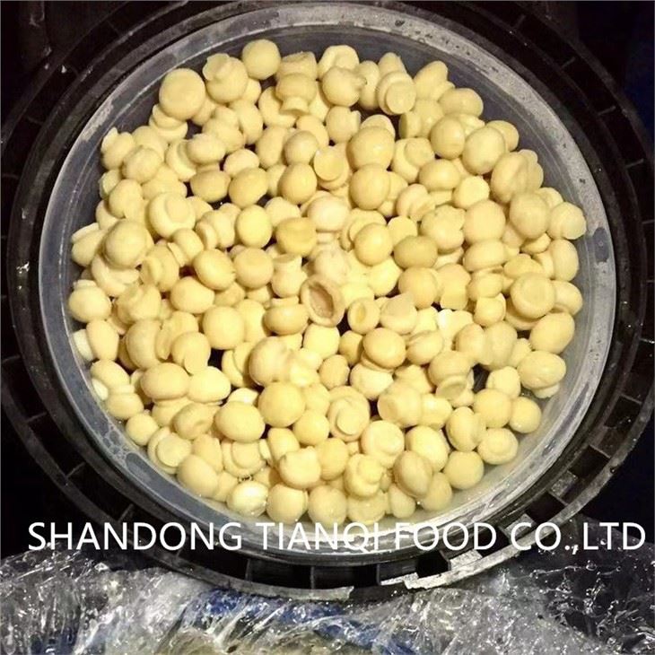 Preserved whole button mushroom in SO2 in drums