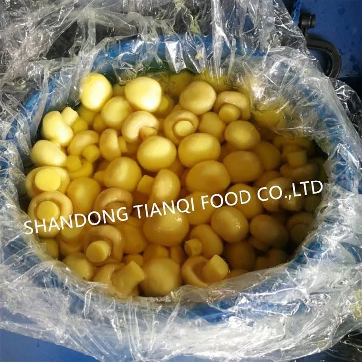 Wholesale White Champignon Mushroom in Brine in Drums